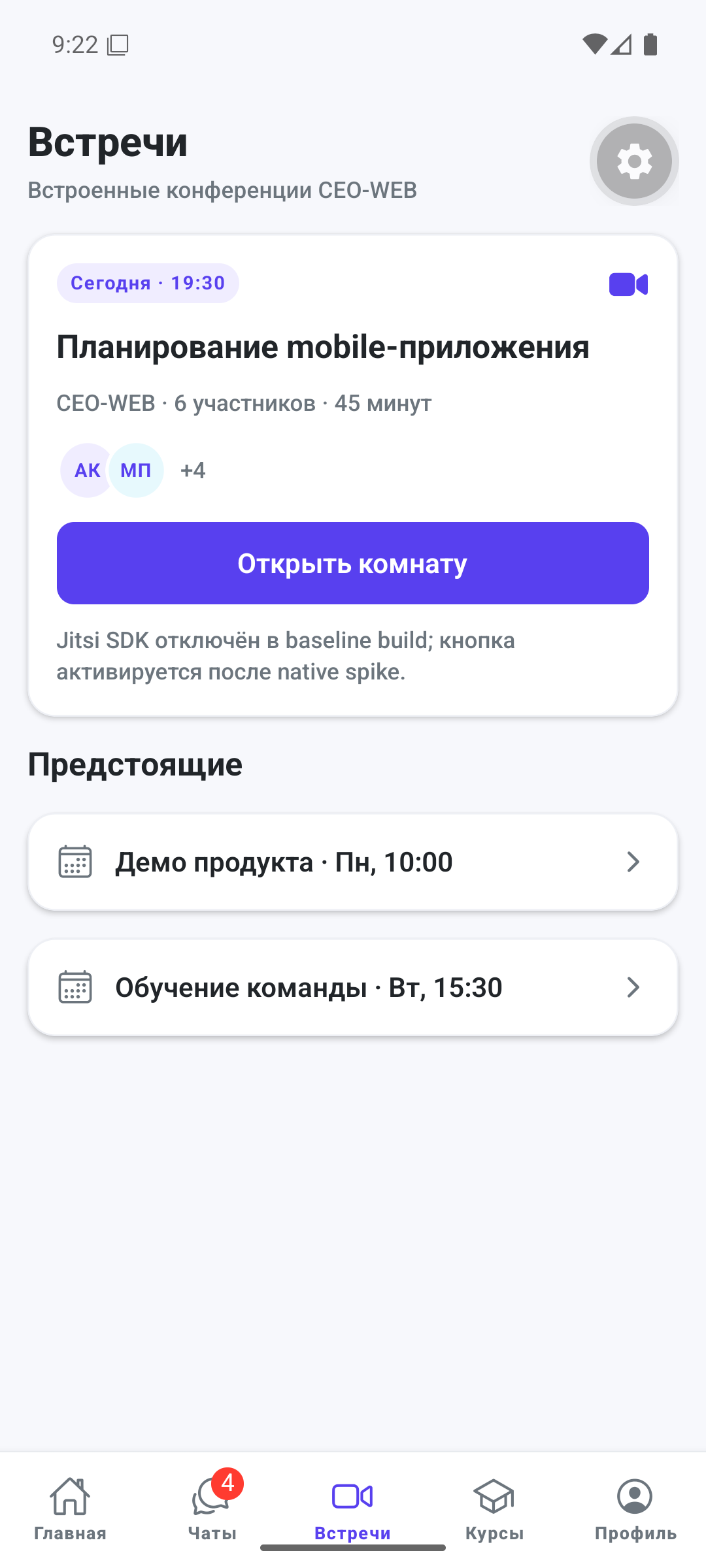 Экран встреч CEO-WEB